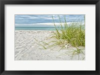 Star Fish and Sea Oats Fine Art Print