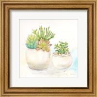 Sweet Succulent Pots I Fine Art Print