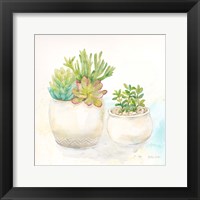 Sweet Succulent Pots I Fine Art Print
