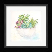 Sweet Succulent Pots II Framed Print