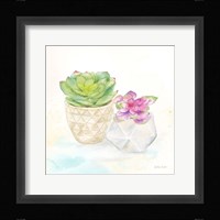 Sweet Succulent Pots III Framed Print