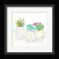 Sweet Succulent Pots IV Framed Print