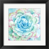 Sweet Succulents I Fine Art Print