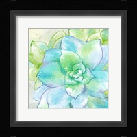 Sweet Succulents II Framed Print
