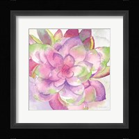 Sweet Succulents III Framed Print