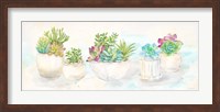 Sweet Succulents Panel Fine Art Print