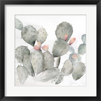Cactus Garden Gray Blush I Framed Print