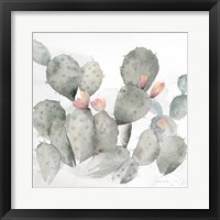 Cactus Garden Gray Blush I Framed Print
