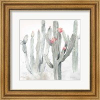 Cactus Garden Gray Blush II Fine Art Print