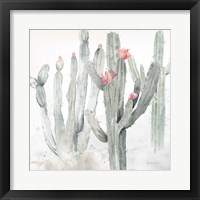 Cactus Garden Gray Blush II Framed Print