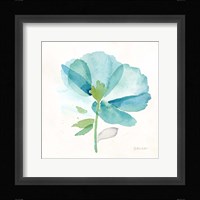 Blue Poppy Field Single III Framed Print