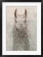 Llama Portrait Fine Art Print