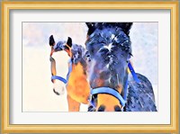 Snow Horses Fine Art Print