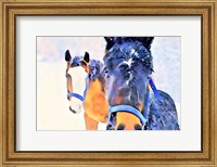 Snow Horses Fine Art Print