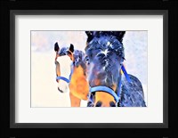 Snow Horses Fine Art Print