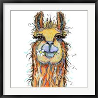 Llama with Daisy Fine Art Print
