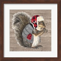 Warm in the Wilderness Squirrel Fine Art Print