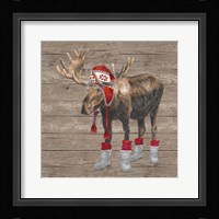 Warm in the Wilderness Moose Framed Print