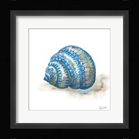 Bohemian Shells I Fine Art Print