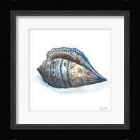 Bohemian Shells II Fine Art Print