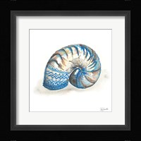 Bohemian Shells IV Fine Art Print