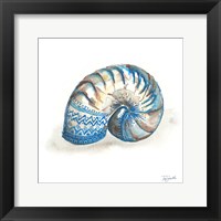 Bohemian Shells IV Fine Art Print