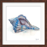 Bohemian Shells V Fine Art Print