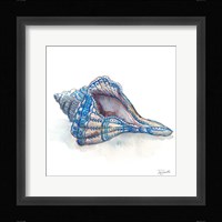 Bohemian Shells V Fine Art Print