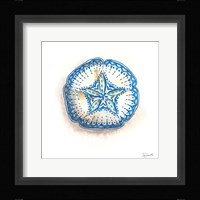 Bohemian Shells VI Fine Art Print
