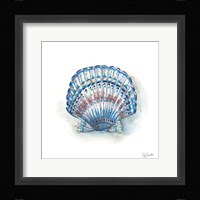 Bohemian Shells VII Framed Print
