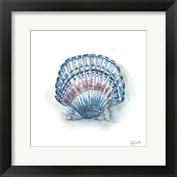 Bohemian Shells VII Fine Art Print