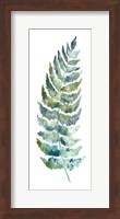 Botanical Fern Single III Fine Art Print
