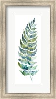 Botanical Fern Single III Fine Art Print