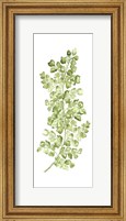 Botanical Fern Single IV Fine Art Print