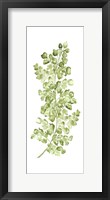 Botanical Fern Single IV Fine Art Print