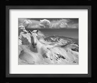 Icy Studs Fine Art Print