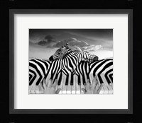 Piano Peace Fine Art Print