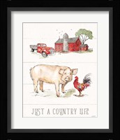Country Life II Framed Print