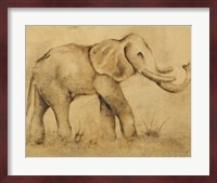 Global Elephant Light Crop Fine Art Print