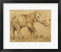 Global Elephant Light Crop Framed Print