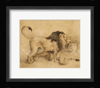 Global Lions Light Crop Framed Print