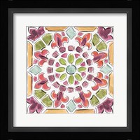 Wine Country VIII Framed Print