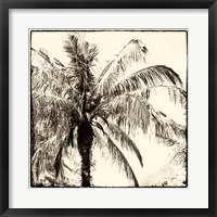 Palm Tree Sepia III Fine Art Print