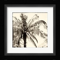 Palm Tree Sepia III Framed Print