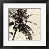 Palm Tree Sepia II Framed Print