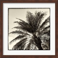 Palm Tree Sepia I Fine Art Print