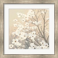 Dogwood Blossoms II Neutral Fine Art Print