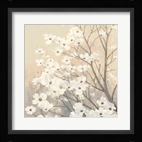 Dogwood Blossoms II Neutral Framed Print