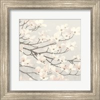 Dogwood Blossoms II Gray Fine Art Print