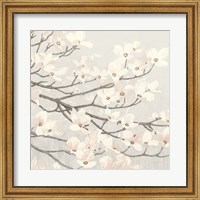 Dogwood Blossoms II Gray Fine Art Print